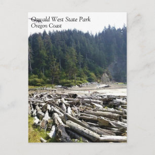Carte Postale Oswald West State Park, Oregon Coast