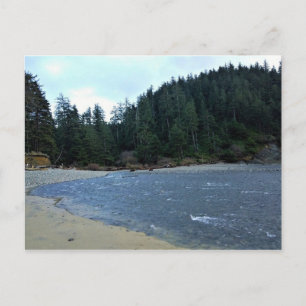 Carte Postale Oswald West State Park, Oregon Coast