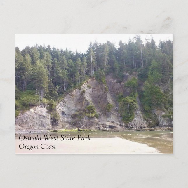 Carte Postale Oswald West State Park, Oregon Coast (Devant)