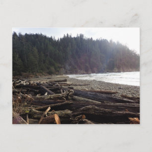 Carte Postale Oswald West State Park, Oregon Coast