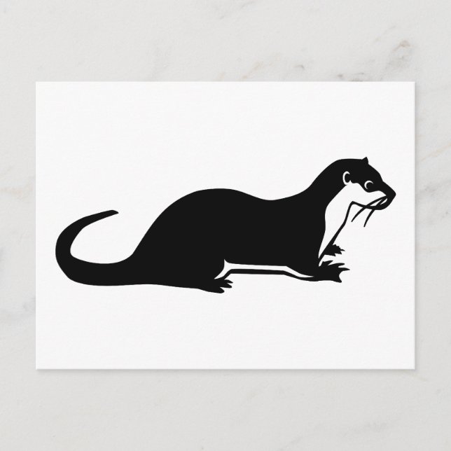 Carte Postale Otter (Devant)