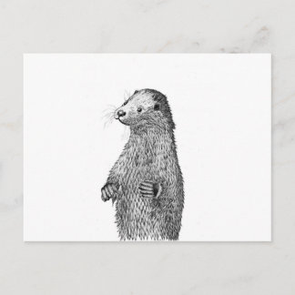 Carte Postale Otter