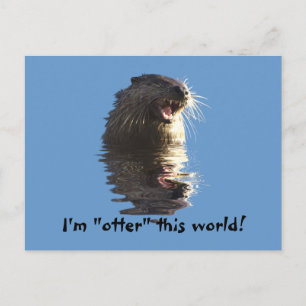 Carte postale OTTER