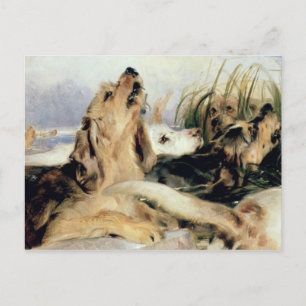 Carte Postale Otter Hounds