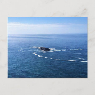 Carte Postale Otter Rock, Cape Foulweather, Newport, Oregon