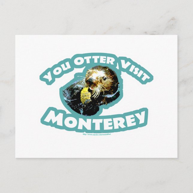 Carte Postale Otter visite Monterey (Devant)
