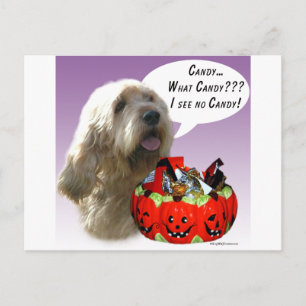 Carte Postale Otterhound Halloween Candy