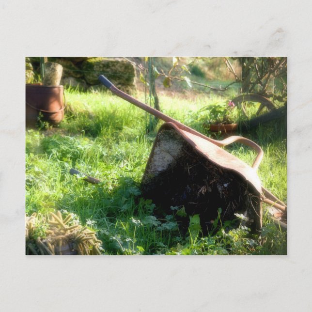 Carte Postale Où est Peter Rabbit ? (Devant)