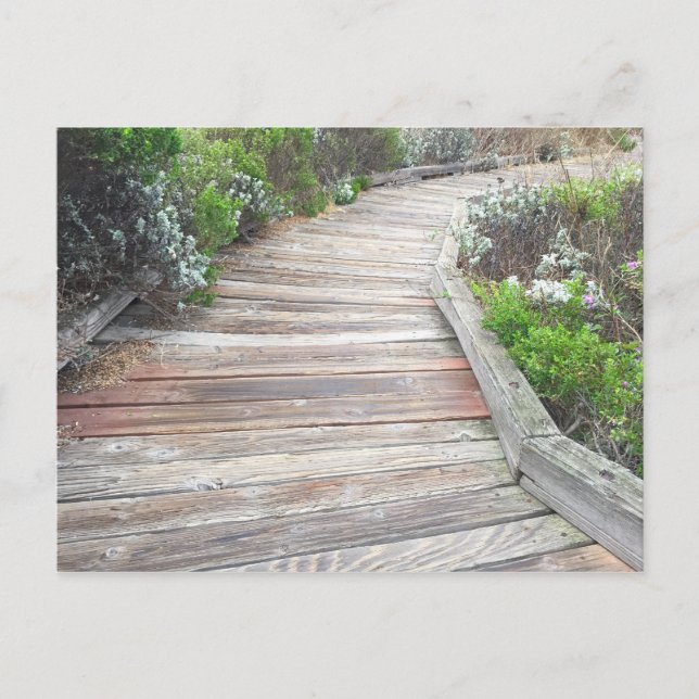 Carte Postale Où mène la route (Devant)