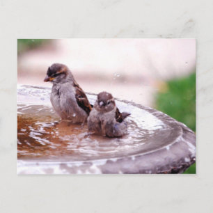 Carte Postale Ouah, ce gamin est fou !