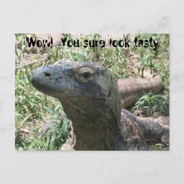 Carte Postale Ouah ! Vous avez l'air savoureux. (Devant)