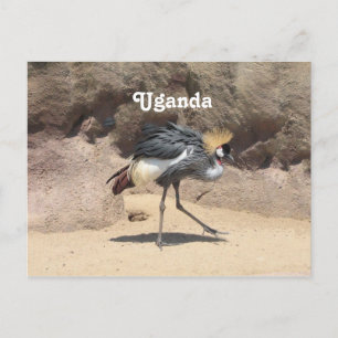 Carte Postale Ouganda Grue de crue