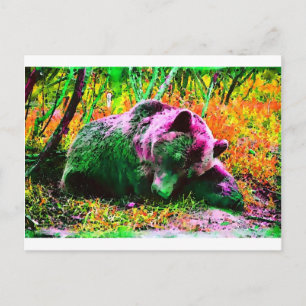 Carte Postale Ours