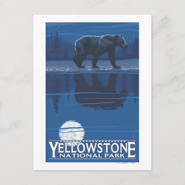 Carte Postale Ours au clair de lune - Parc national de Yellowsto (Devant)