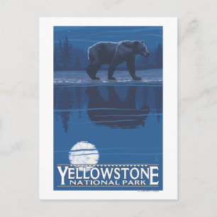 Carte Postale Ours au clair de lune - Parc national de Yellowsto