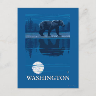 Carte Postale Ours au clair de lune - Washington