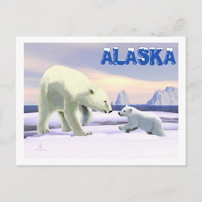 Carte Postale Ours blanc - maman Nose Best (Devant)