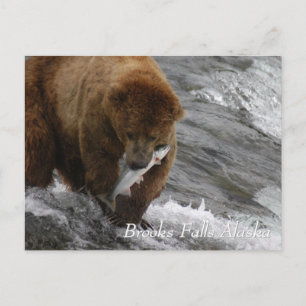 Carte Postale Ours Brown capturé un saumon à Brooks Falls en Ala