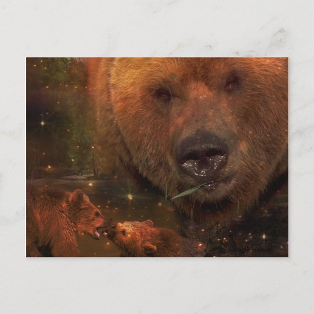 Carte Postale Ours d'Alaska avec petits (Devant)