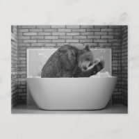 Ours dans la baignoire Bain Bain de bulle Animal C