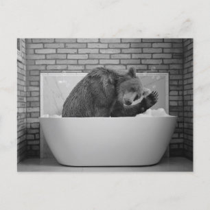 Carte Postale Ours dans la baignoire Bain Bain de bulle Animal C