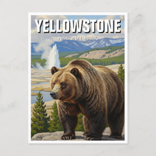 Carte Postale Ours dans le parc national Yellowstone Souvenir
