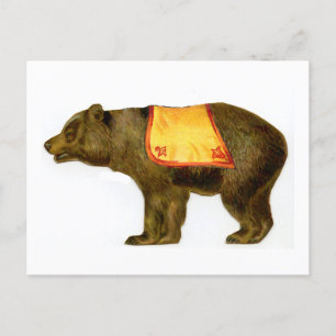 Carte Postale Ours de cirque vintage