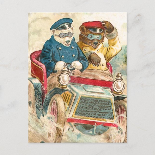 Carte Postale Ours de course (Devant)