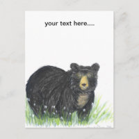 Ours de nounours d'ours noir