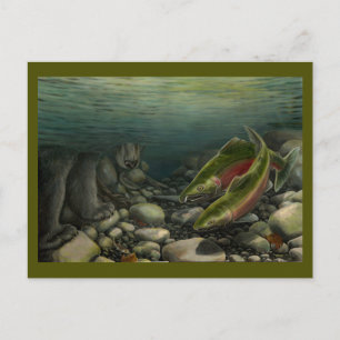 Carte postale Ours De Pêche Carte Postale Saumon P