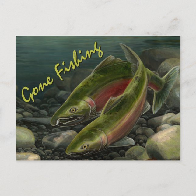 Carte postale Ours De Pêche Carte Postale Saumon P (Devant)