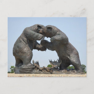 Carte Postale Ours - Dundee, Michigan