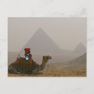 Carte postale 'Ours en Egypte'