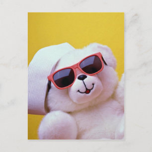 Carte Postale Ours en peluche cool en verre de soleil