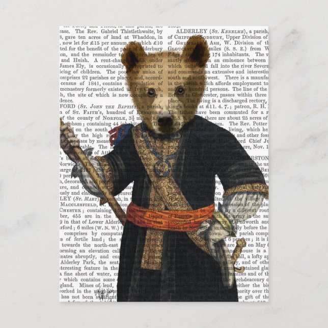 Carte Postale Ours en Robes Bleues 2 (Devant)