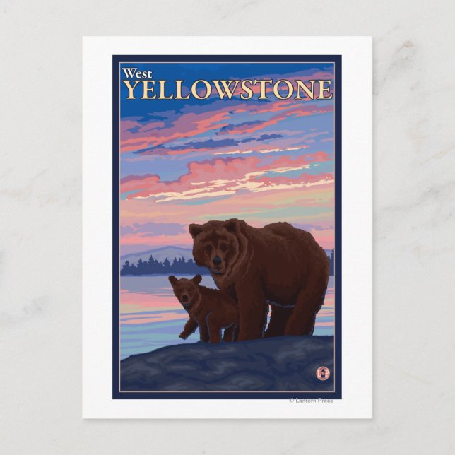 Carte Postale Ours et cub - West Yellowstone, Montana (Devant)