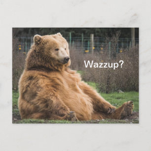 Carte Postale Ours Grizzli