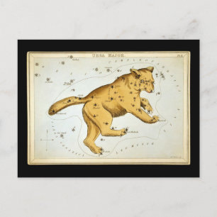 Carte Postale Ours Majeur Vintage