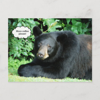 Carte Postale Ours Noir - "Cubby Plus De Café S'Il Vous Plaît"