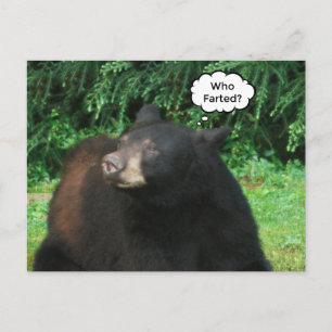 Carte Postale Ours Noir - "Cubby Qui A Farci ?"