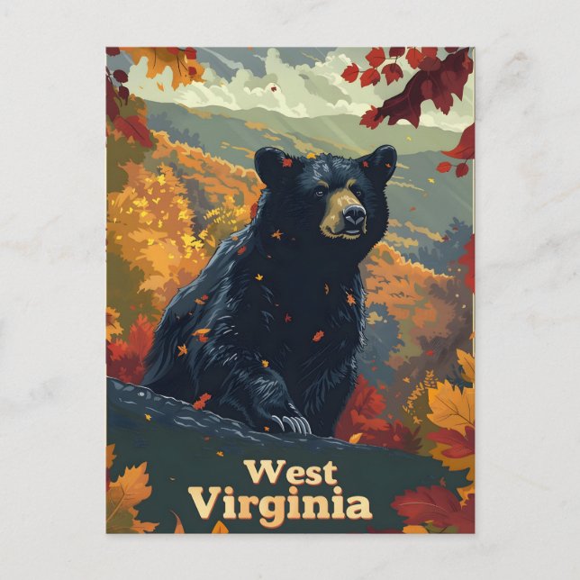 Carte Postale Ours noir de Virginie occidentale (Devant)