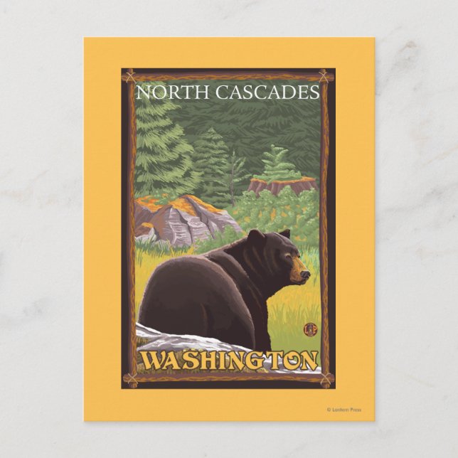 Carte Postale Ours noir en forêt - Cascades du Nord, Lashingto (Devant)