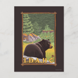 Carte Postale Ours noir en forêt - Idaho