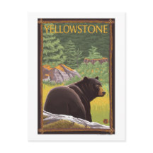 Ours noir en forêt - Parc national de Yellowstone