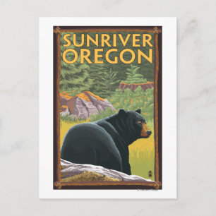 Carte Postale Ours noir en forêt - Sun River, Oregon