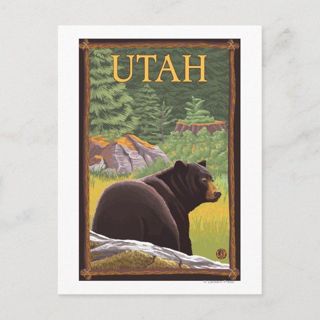 Carte Postale Ours noir en ForêtUtah (Devant)