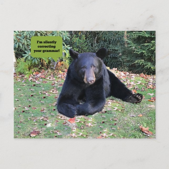Carte Postale Ours noir - "Je corrige silencieusement ta grammai (Devant)
