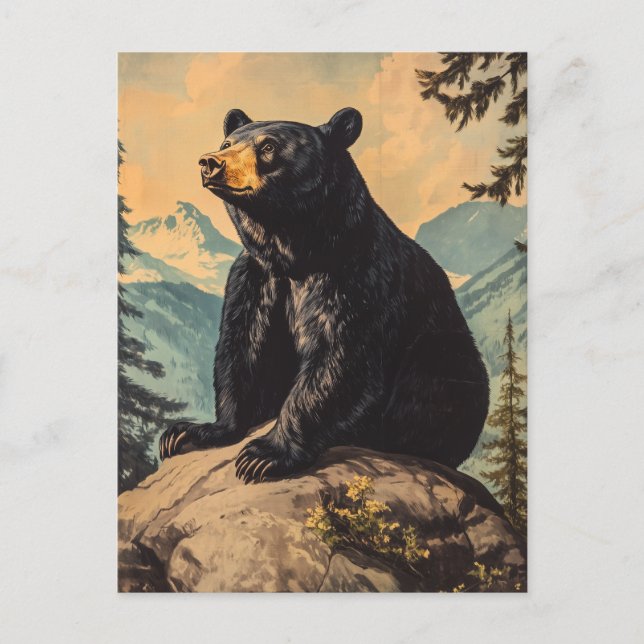 Carte Postale Ours noir vintage (Devant)
