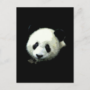 Carte Postale Ours Panda