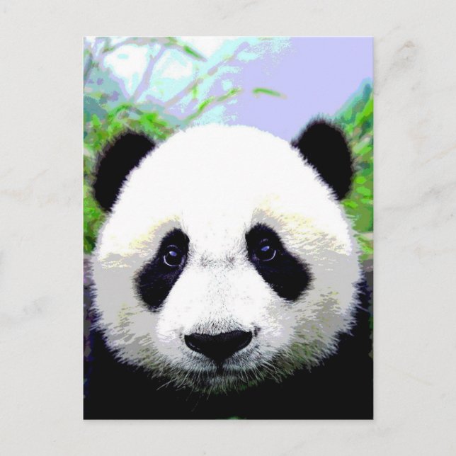 Carte Postale Ours Panda (Devant)